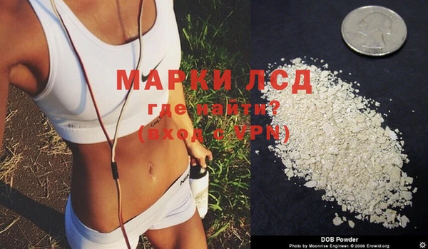 молекула духа Медвежьегорск