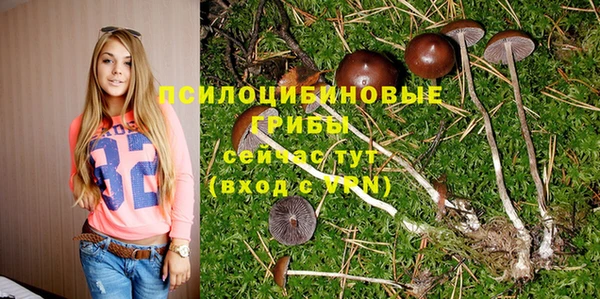 винт Мегион